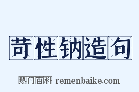 苛性钠造句是什么意思的图片